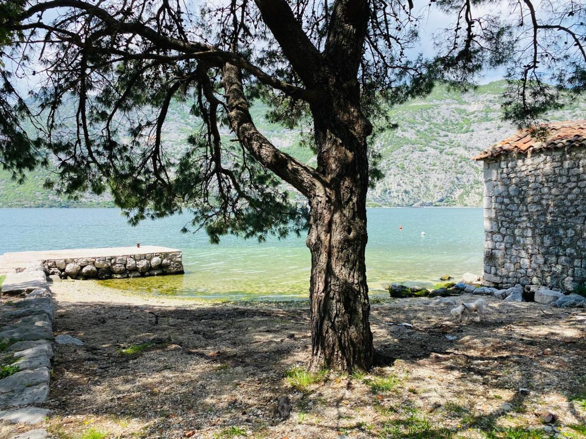 Villa Blanca Risan Buitenkant foto