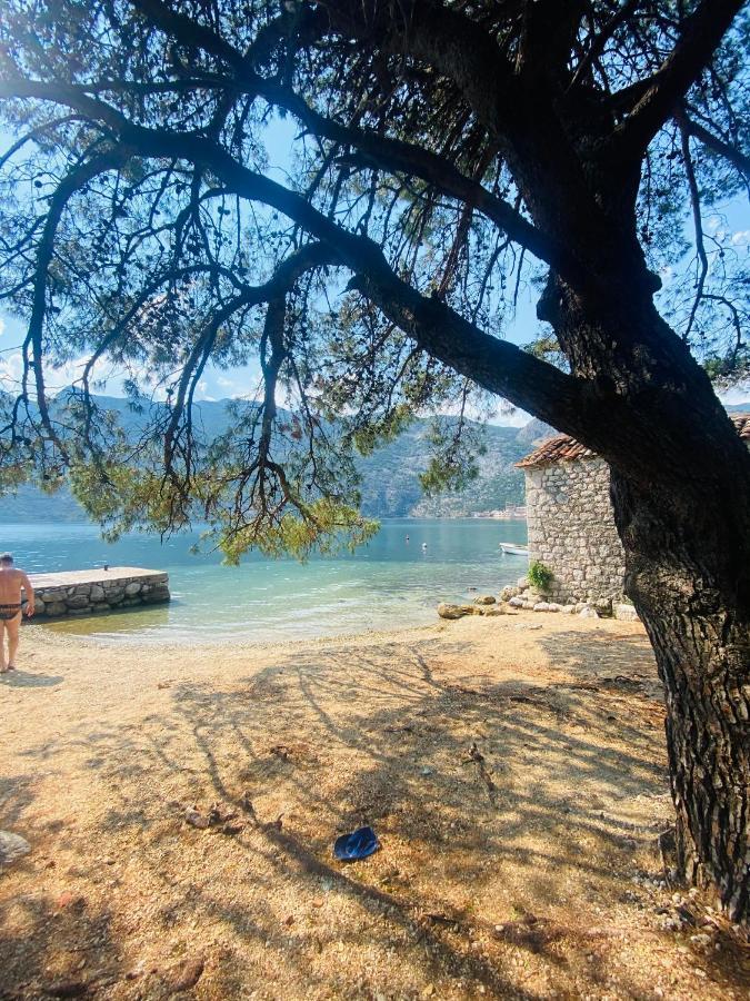 Villa Blanca Risan Buitenkant foto